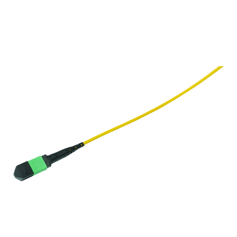 OS2 12芯MPO/MTP® APC（母头）转2xMPO/MTP® APC（母头）单模转换跳线，极性B