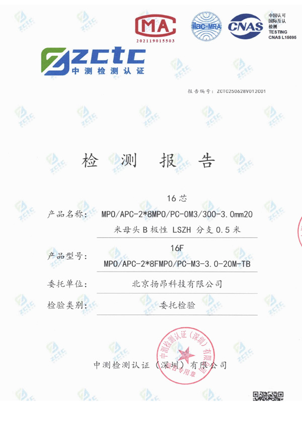 正-米母头检验报告